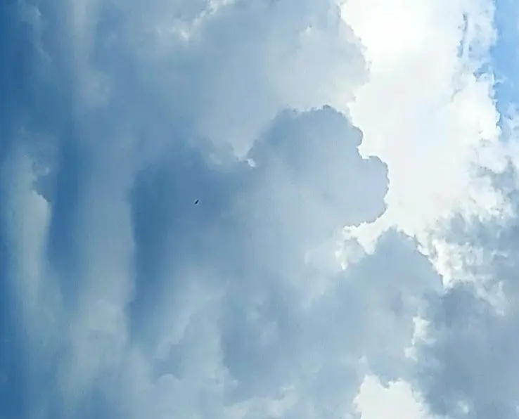 Condolence image of Karin