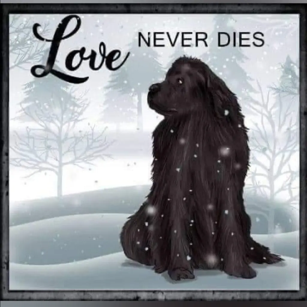 Condolence image of Karin