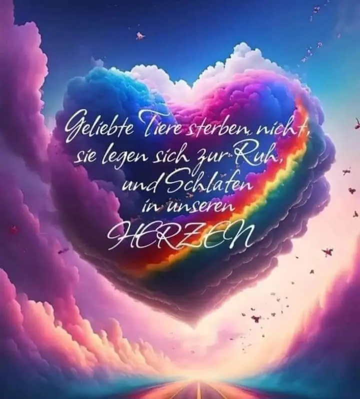 Condolence image of Karin