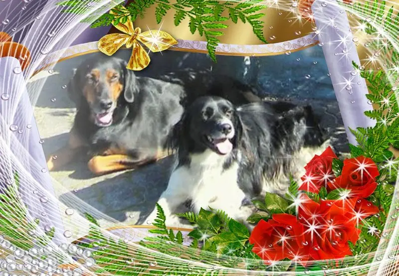 Andachtsbild von Brigitte mit Nelly, Benny und Axel im Herzen