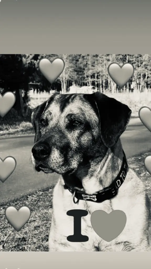 Bild von Fibie