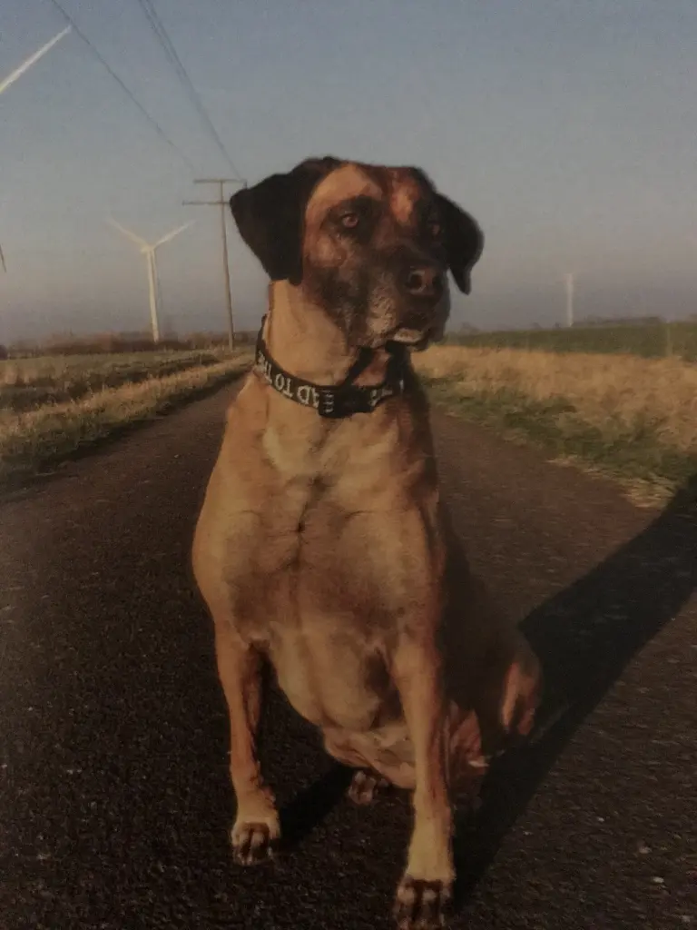 Bild von Fibie