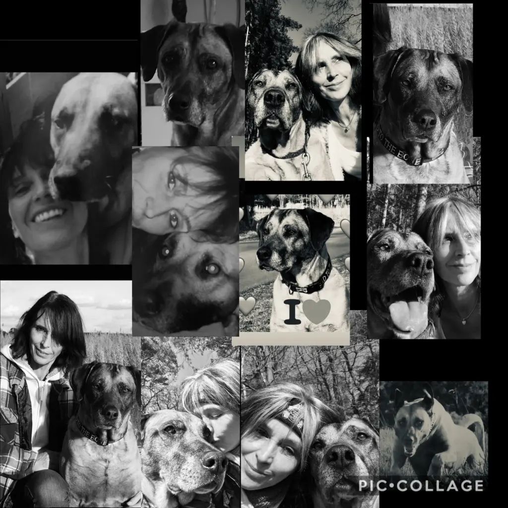 Bild von Fibie
