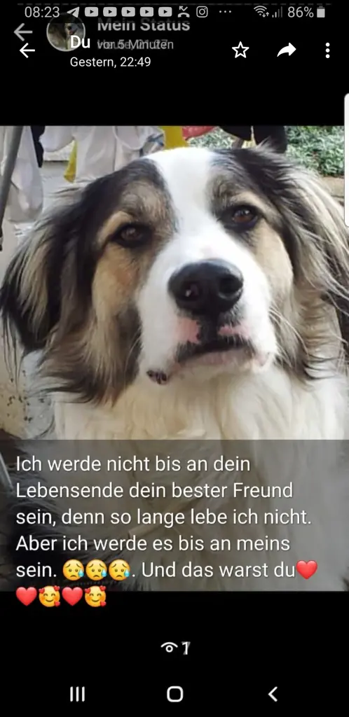 Image from Socke