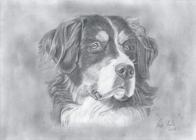 Image from Uschi