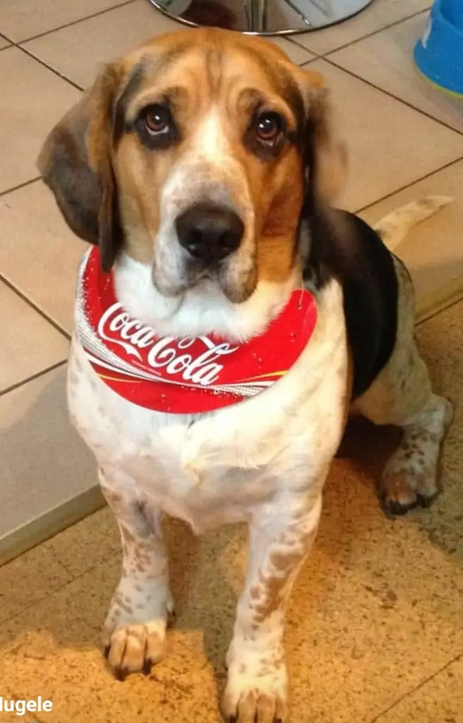 Bild von Max