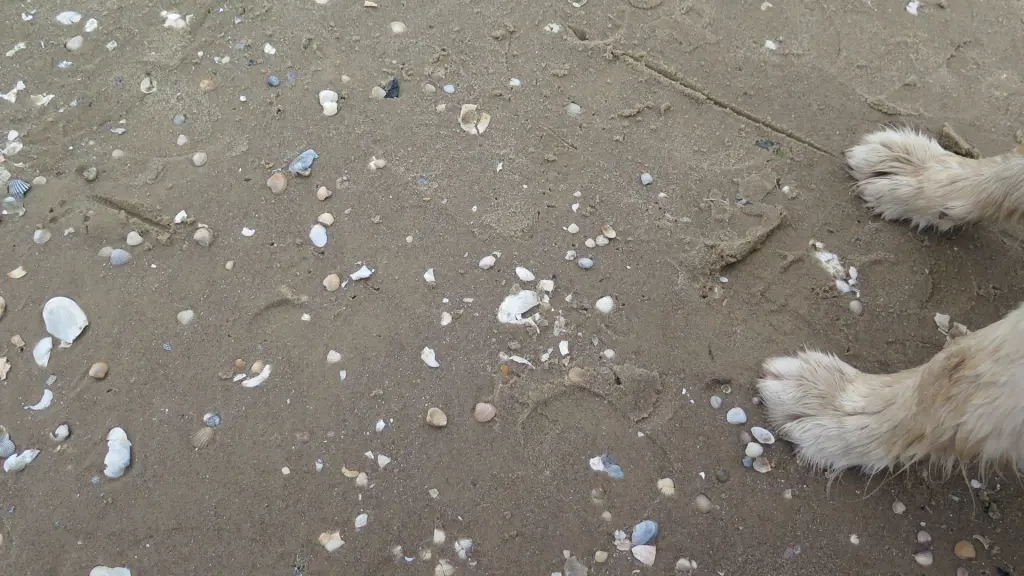 Condolence image of Unbekannt