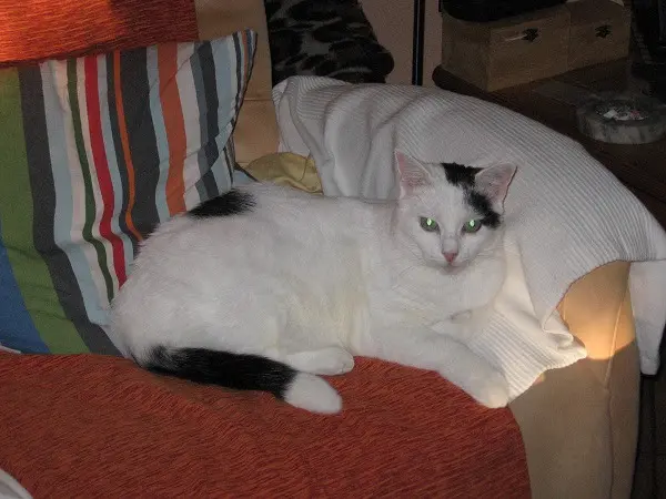 Condolence image of Mama