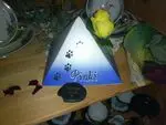 Image from Pinki