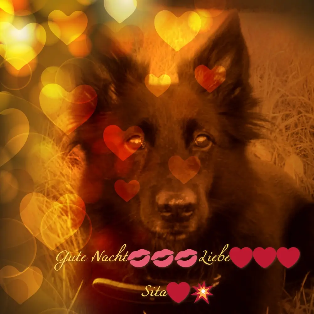 Condolence image of Gute Nacht❤️❤️❤️