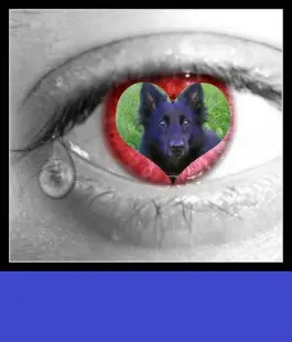 Condolence image of ❤️❤️❤️