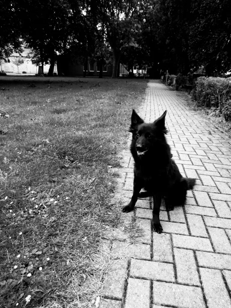 Condolence image of Antje 