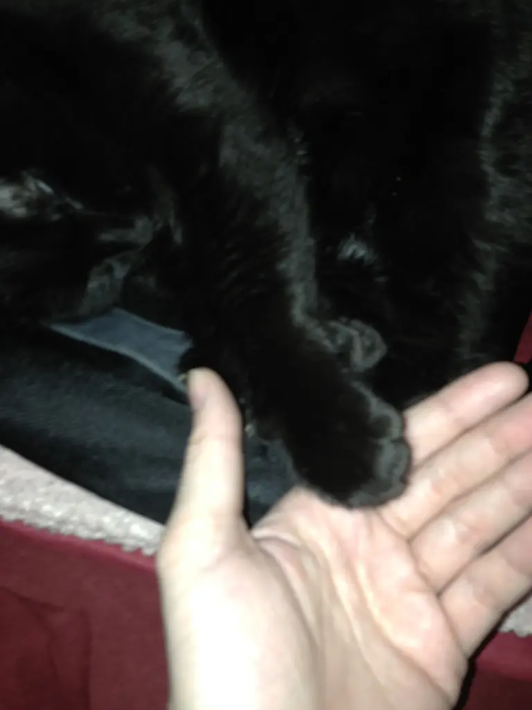 Image from Lucy (Rufname: Luzi)