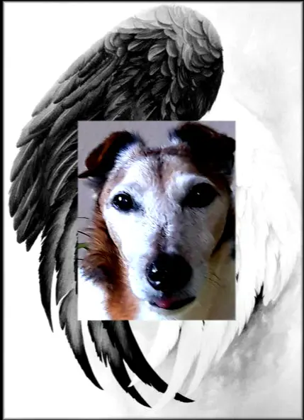 Condolence image of Bettina