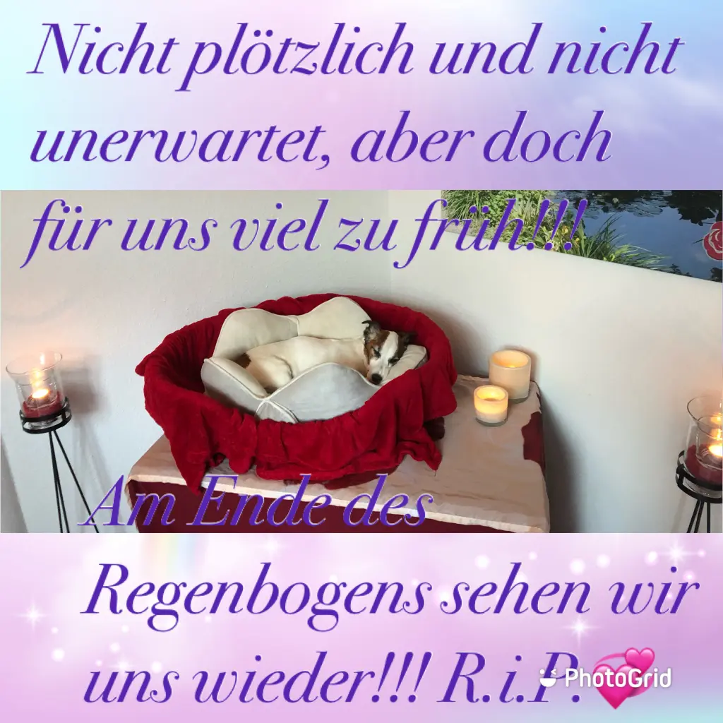 Image from Sparky