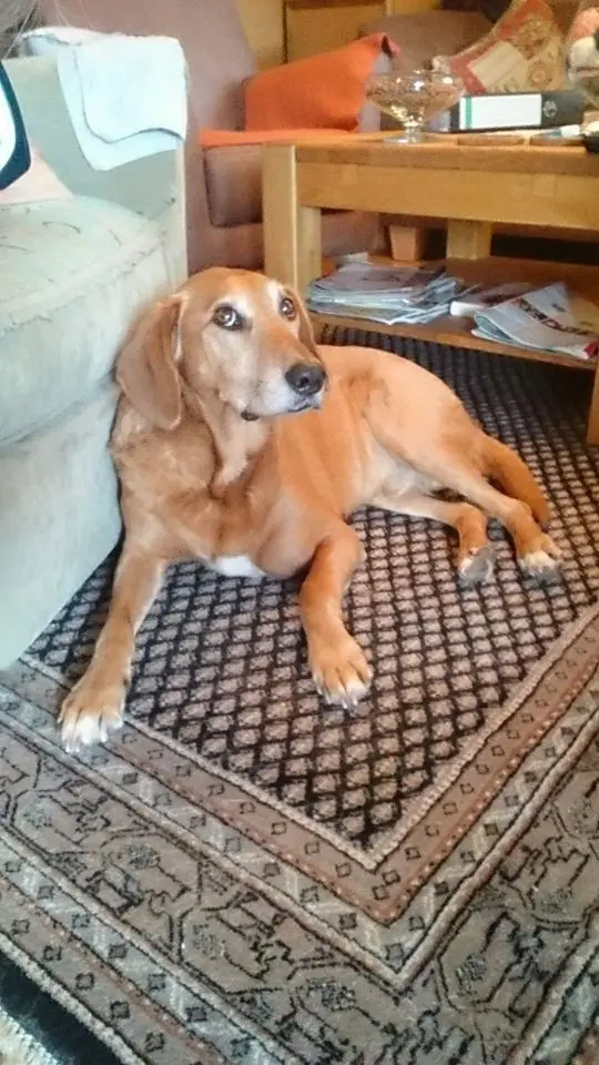 Andachtsbild von Marlies mit Pietsch tief im Herzen