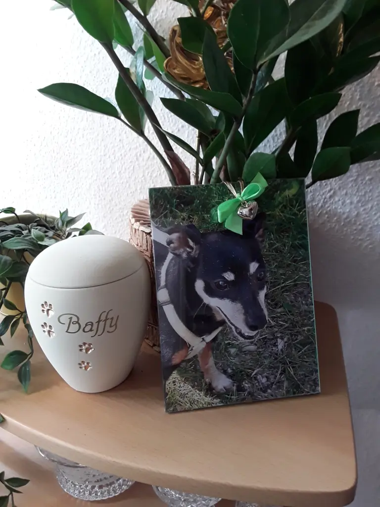 Condolence image of Cerstin mit Seelenhund Baffy