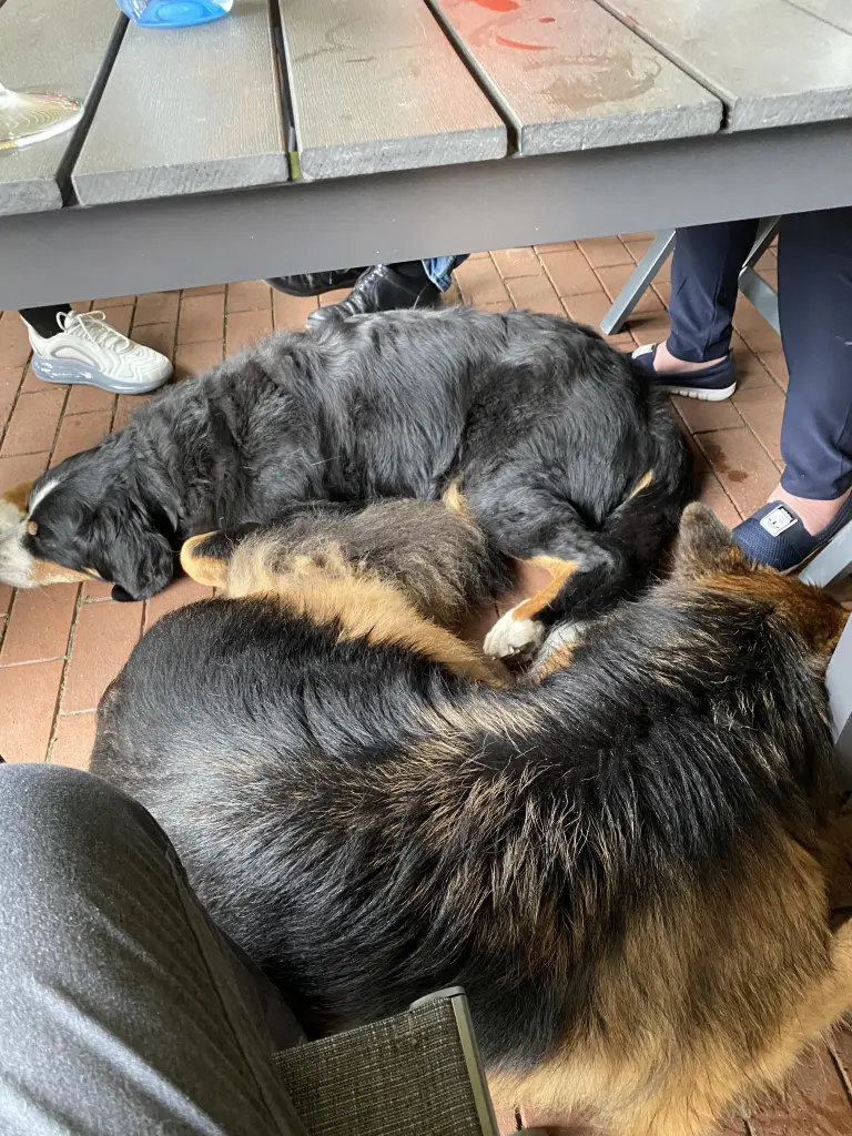 Image from Ronja