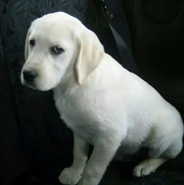 Condolence image of Conny