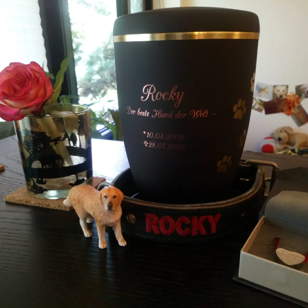 Image from Rocky(Hänschen)