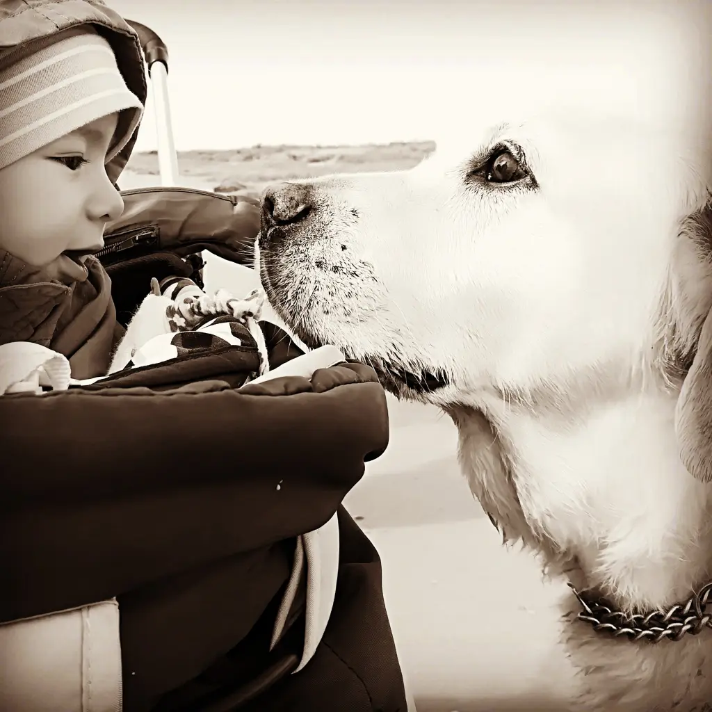 Condolence image of Ariyan & Josephine