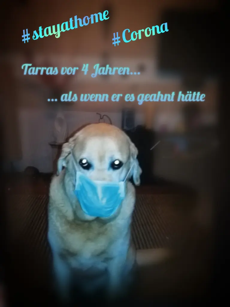 Image from Tarras