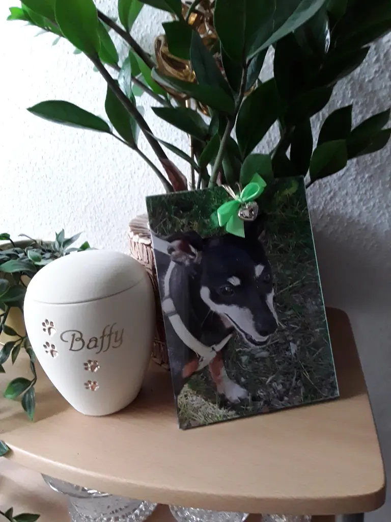 Condolence image of Cerstin