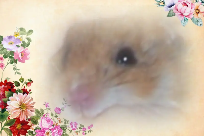Condolence image of Patricia 