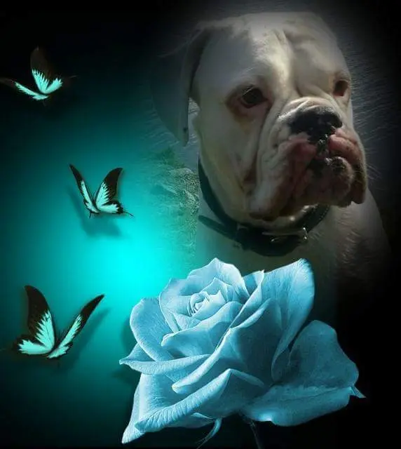Condolence image of Kathy Marzouki