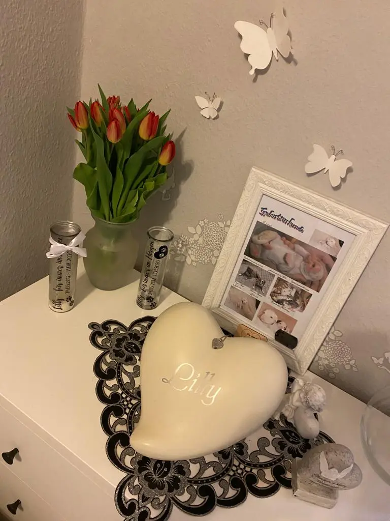 Condolence image of Kathy Marzouki 