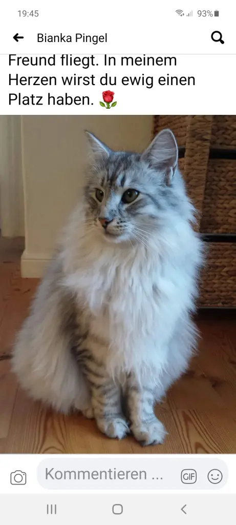 Andachtsbild von Bianka mit Zanches im Herzen