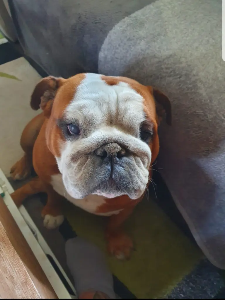 Image from Wilma