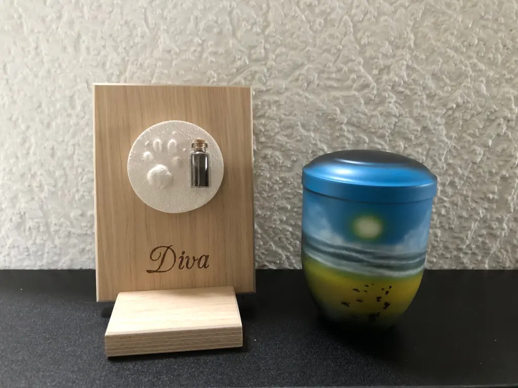 Image from Diva
