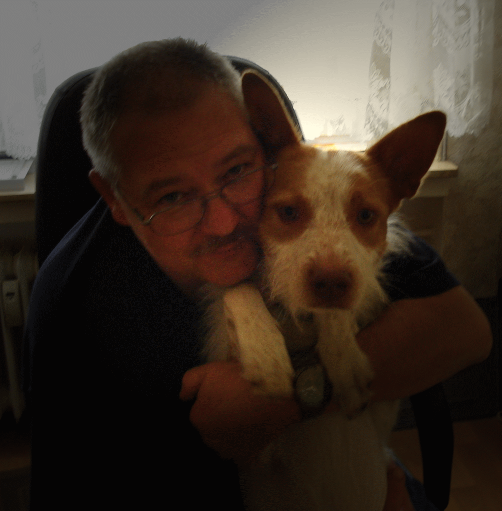 Image from Noel