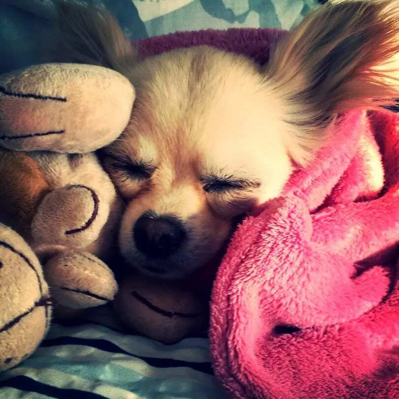 Condolence image of Conny