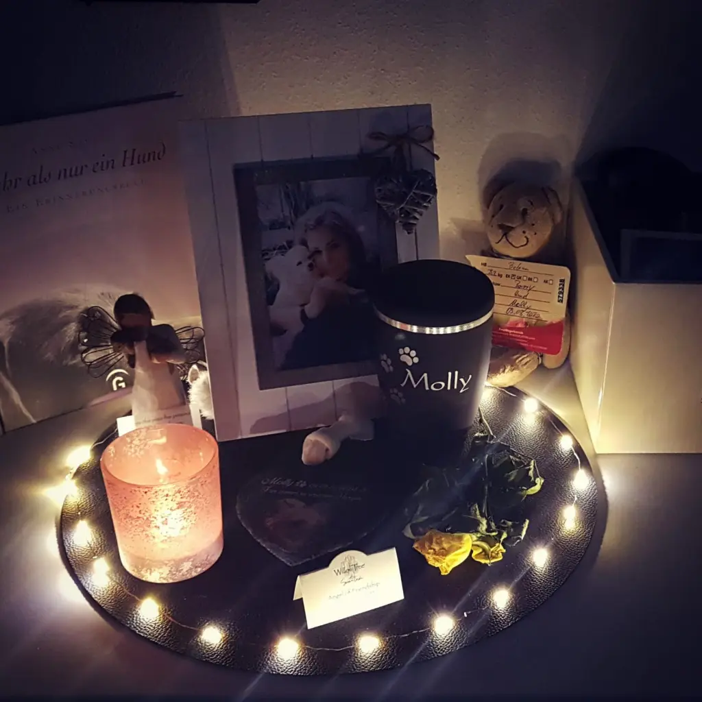 Image from ❤ Molly ❤