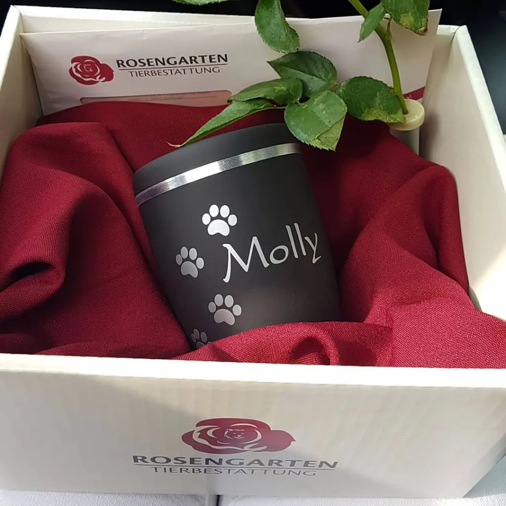 Image from ❤ Molly ❤