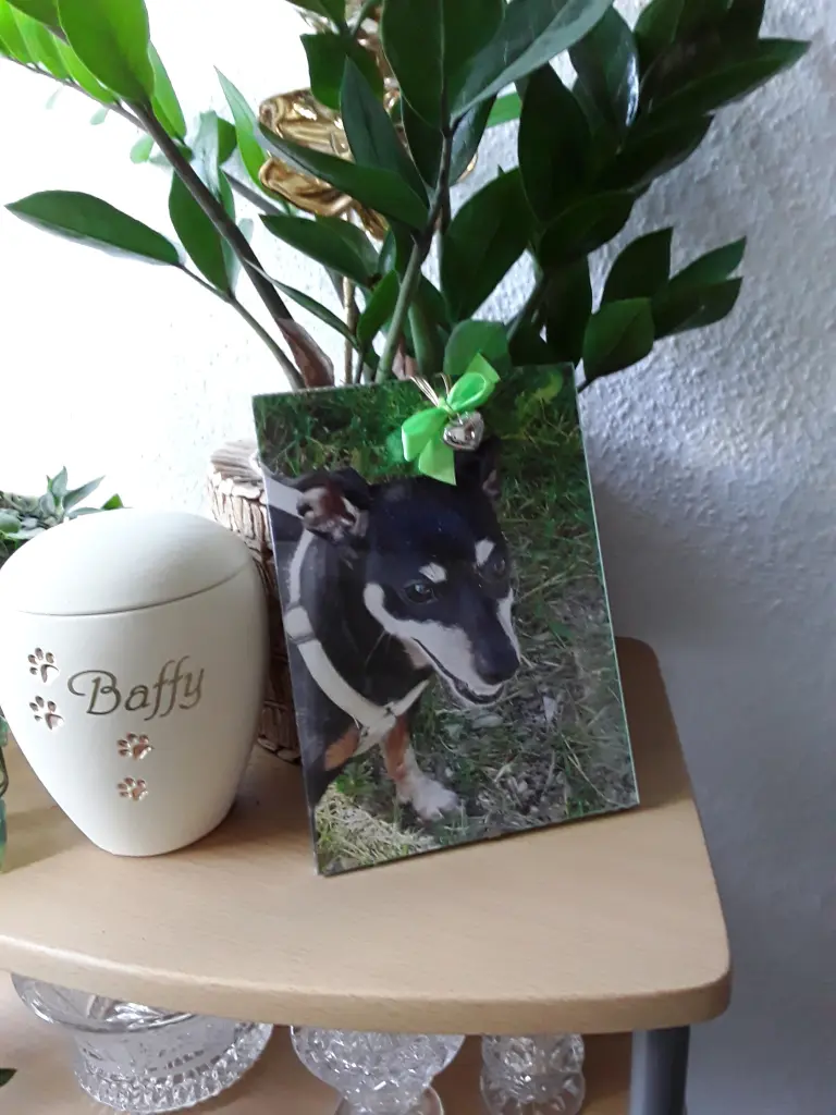 Condolence image of Cerstin