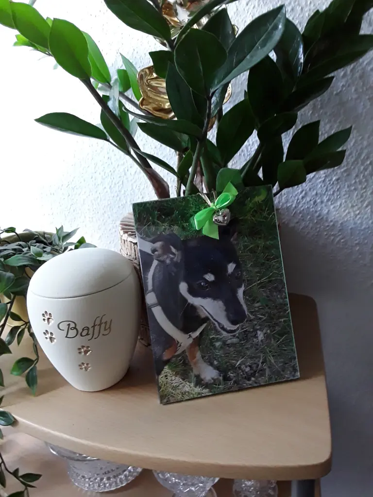 Andachtsbild von Cerstin mit Seelenhund Baffy (02.07.20)