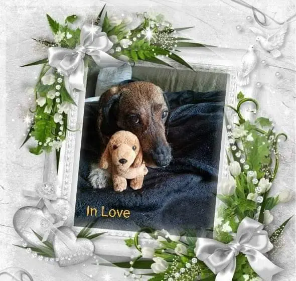 Andachtsbild von Nicole Damen