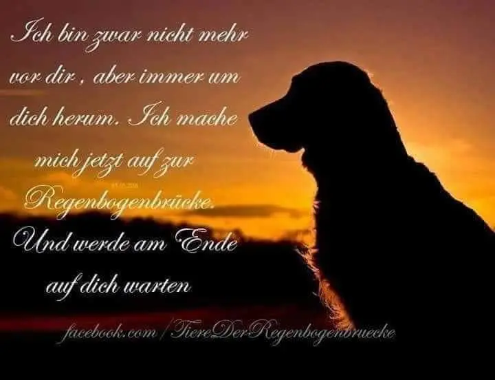 Andachtsbild von Rosemarie 