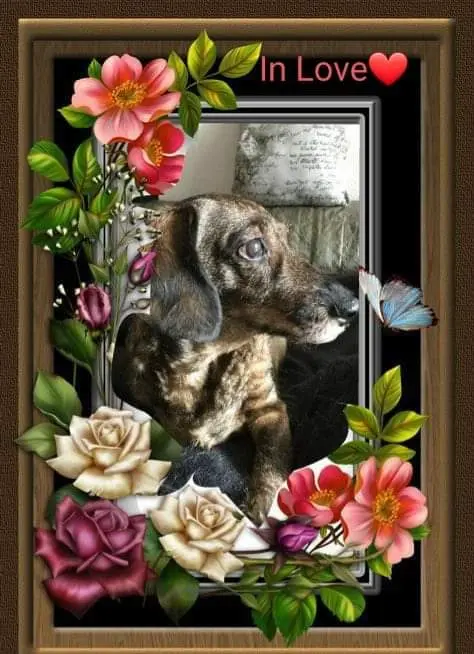 Andachtsbild von Nicole Damen