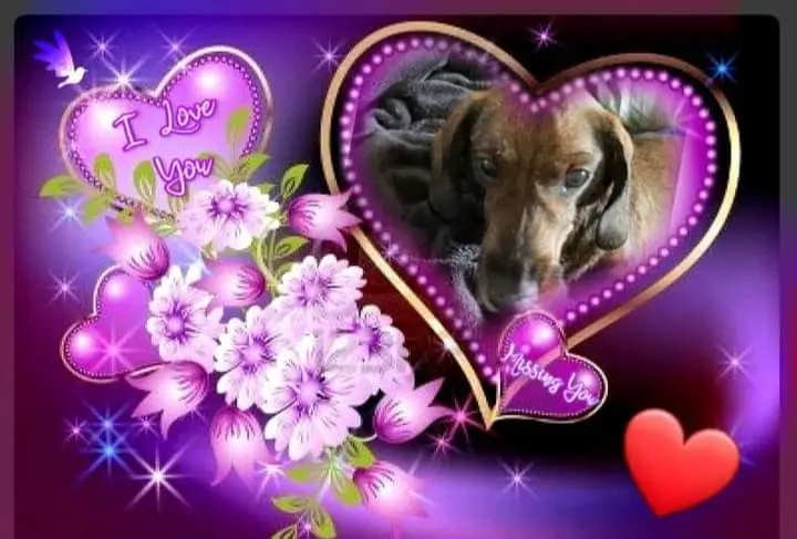 Andachtsbild von Nicole Damen