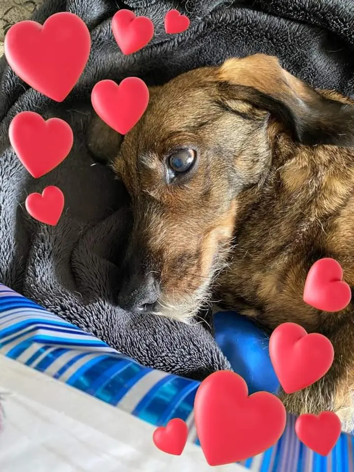 Andachtsbild von Nicole Damen