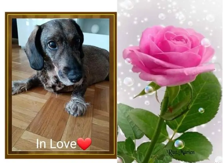 Andachtsbild von Nicole Damen