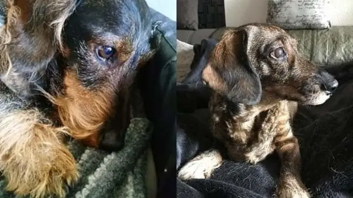 Andachtsbild von Nicole Damen