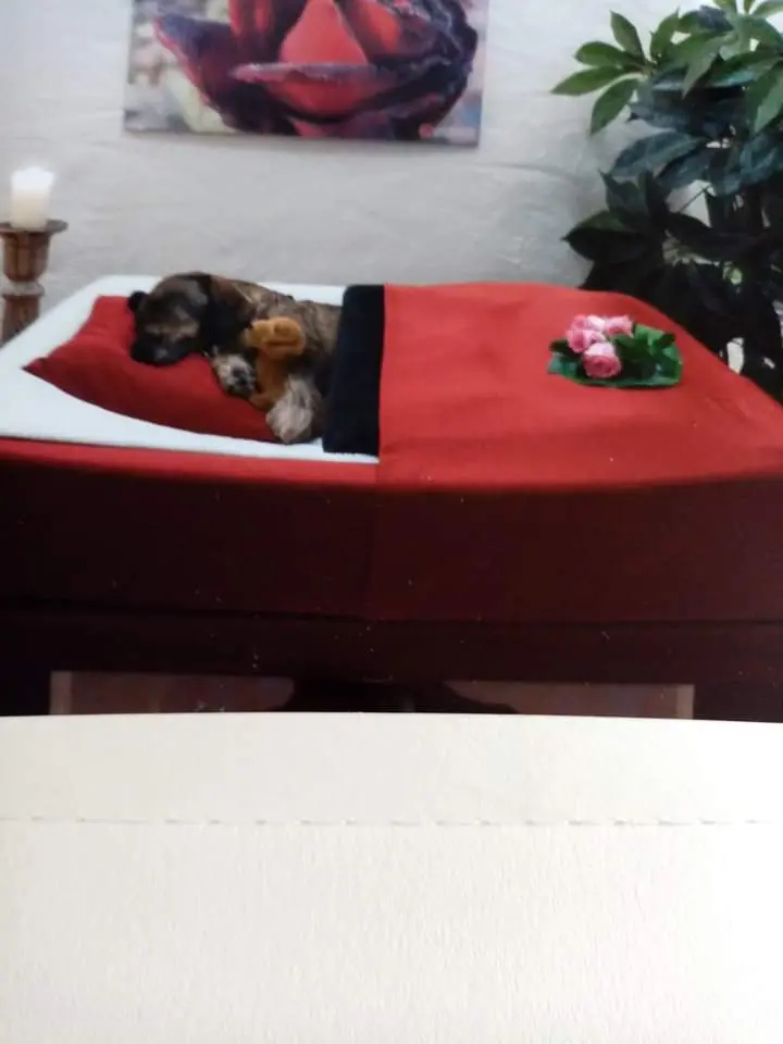 Andachtsbild von Nicole Damen