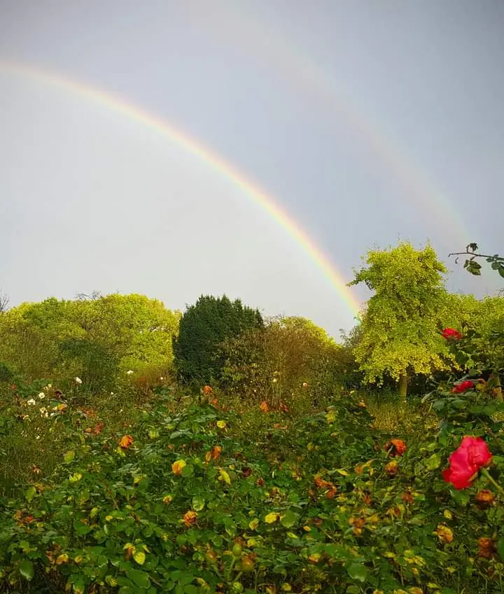 Andachtsbild von Nicole Damen