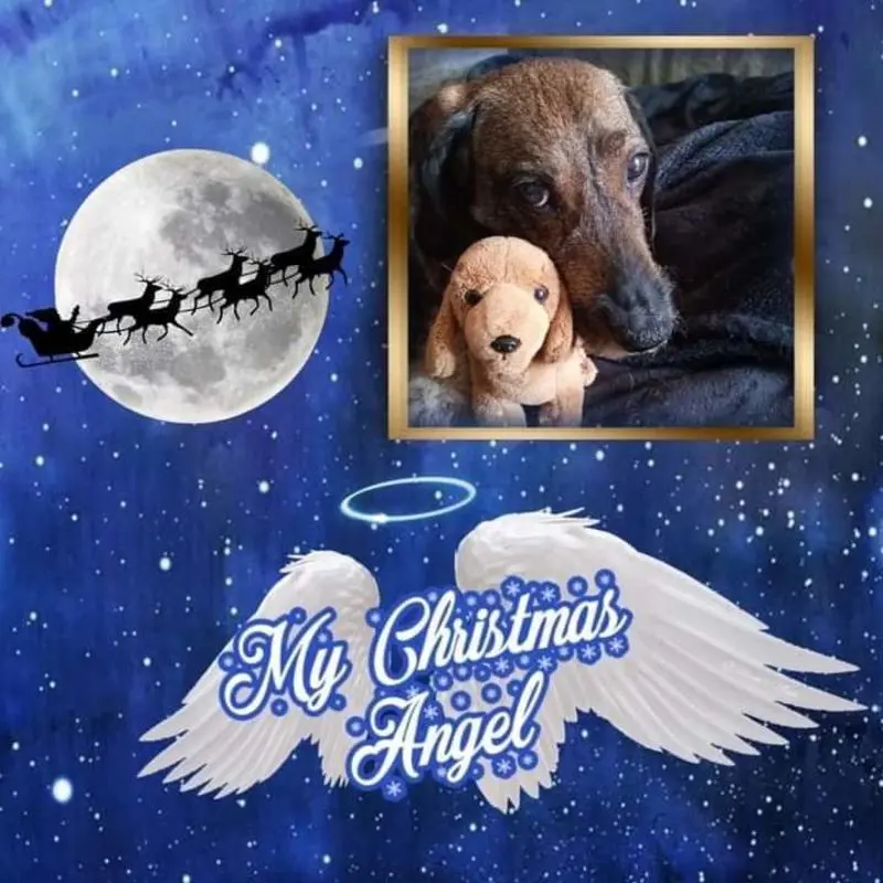 Andachtsbild von Nicole Damen