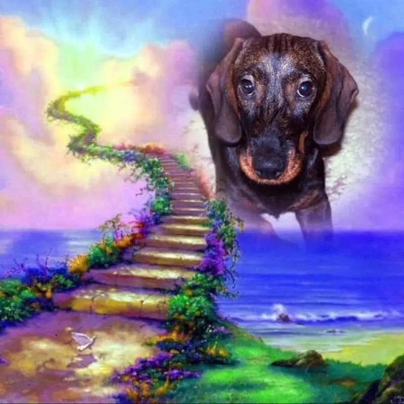 Andachtsbild von Nicole Damen